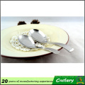 Stock Fast Delivery Stainless Steel Spoon Set